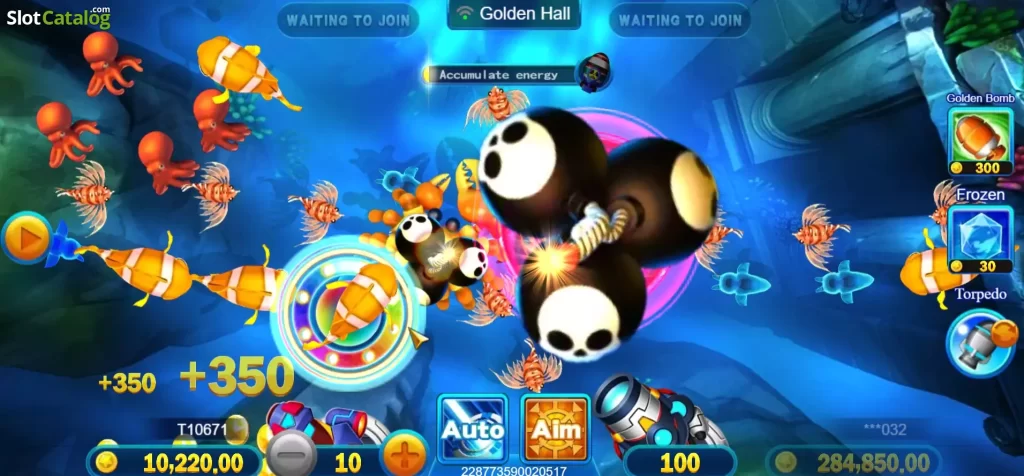 Bonus Guide Guide 2026
